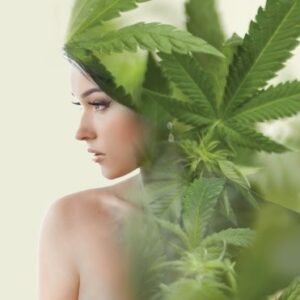 Cannabis Therapy MD